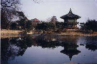 韓國